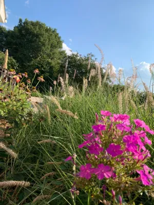 WHO IS READY FOR SPRING? — Landscape Construction project by Wilson's Natural Landscaping, LLC