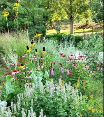 Wimberg Landscaping - Lawn Aeration in Cincinnati, OH