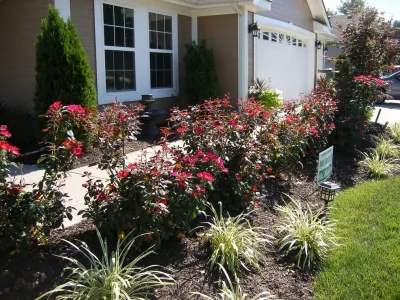 Winkler's Lawn Care & Landscape - Landscape Construction in Platte City, MO