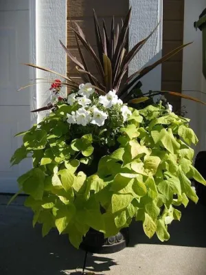 Landscapes — Landscape Construction project by Winkler's Lawn Care & Landscape