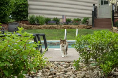 Winland's Complete Landscaping Service - Tree & Shrub Care in Zanesville, OH