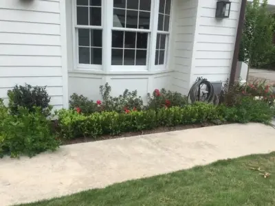 Stone Terrace and Pathway — Stone & Concrete Installation project by Brick Restoration