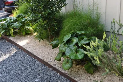 Xylem Organic Gardening - Tree & Shrub Care in Austin, TX