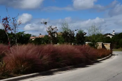 Xylem Organic Gardening - Tree & Shrub Care in Austin, TX