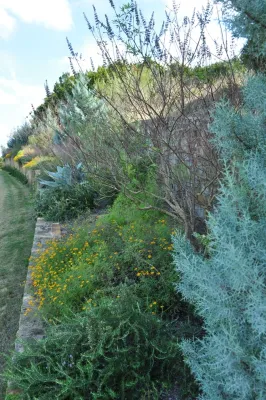 Xylem Organic Gardening - Tree & Shrub Care in Austin, TX