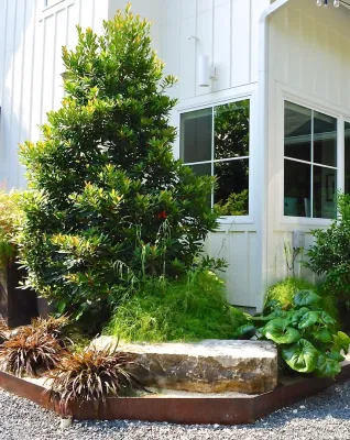 Xylem Organic Gardening - Tree & Shrub Care in Austin, TX