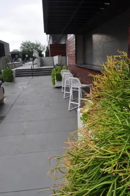 Xylem Organic Gardening - Tree & Shrub Care in Austin, TX