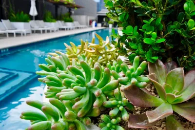 Xylem Organic Gardening - Tree & Shrub Care in Austin, TX