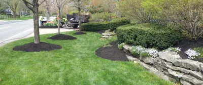 Yard Helpers - Tree & Shrub Care in Columbus, OH