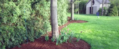 Recent Projects — Landscape Construction project by Yard Helpers