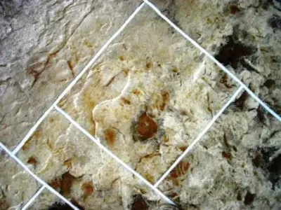 Imprinted Stone Concrete Coating — Stone & Concrete Installation project by Elite Concrete Design