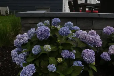 Mass Hardscapes - Landscape Design in Upton, MA