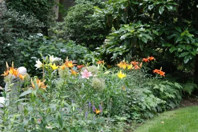 YouBuyWePlant, LLC - Landscape Maintenance in Newtown Square, PA