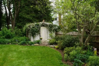 Clematis Montana — Landscape Construction project by YouBuyWePlant, LLC