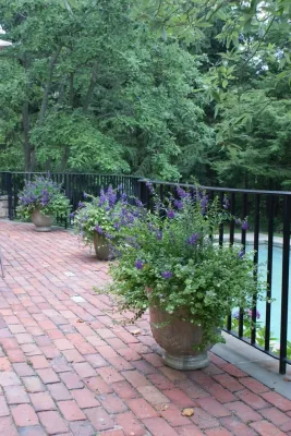 Planters — Landscape Construction project by YouBuyWePlant, LLC