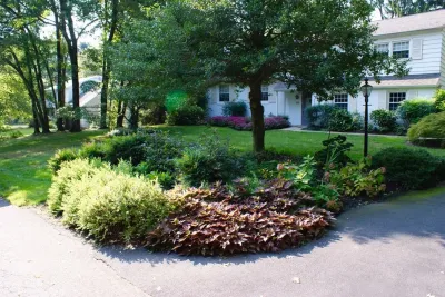 Entry Bed — Landscape Construction project by YouBuyWePlant, LLC