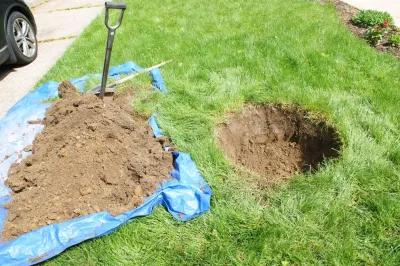 Tree Planting Project — Landscape Construction project by YouBuyWePlant, LLC in Narberth