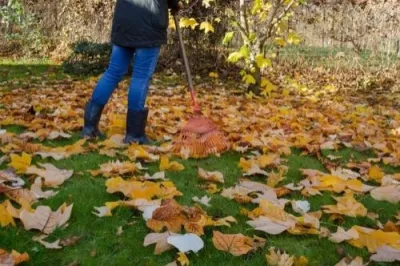 Orange County Landscaping Pros - Garden Remodeling in Newport Beach, CA