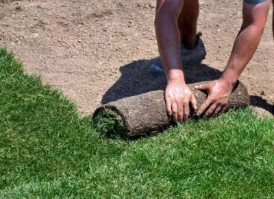 Orange County Landscaping Pros - Garden Remodeling in Newport Beach, CA