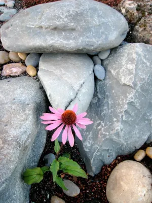Zenscape - Irrigation System Repair in Woodacre, CA