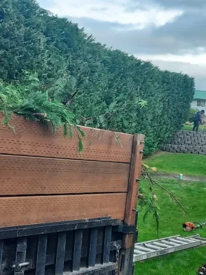 Pablo Landscaping LLC - Tree & Shrub Care in Shelton, WA