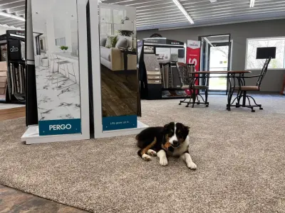 Peterson's Floors - Carpet Installation in Story City, IA