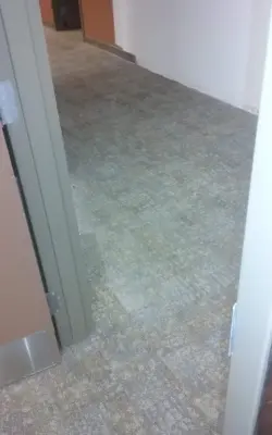 Floor It - Carpet Installation in Saint Paul, VA