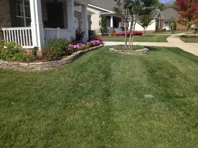 M & C Landscaping, Inc. - Tree & Shrub Care in Charlotte, NC