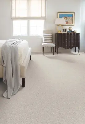 Wilson's Carpet Plus - Carpet Installation in Summerville, SC