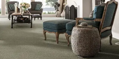 Rug — Flooring Installation Services project by Hi Country Floors To Go
