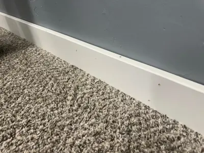 Bubblegum Flooring - Interior Design & Decorating in Waukesha, WI