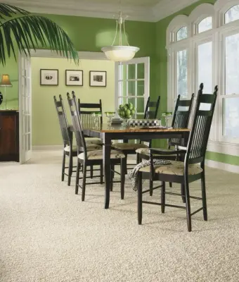 Rug — Flooring Installation Services project by Floor Coverings International-Mentor