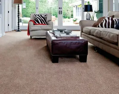 Rug — Flooring Installation Services project by Bell Carpet & Floors