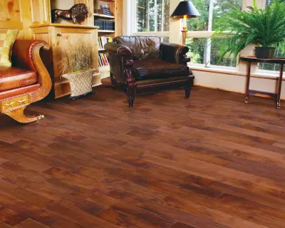 Kiss Carpet Design Center - Carpet Installation in Traverse City, MI