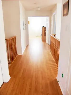 Seer Flooring, Inc - Flooring Installation Services in Palm Harbor, FL