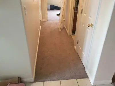 Harald F Project by ST George Flooring