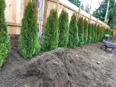Pablo Landscaping Llc 8 — Landscape Construction project by Pablo Landscaping LLC