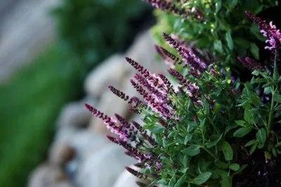 Big Rock Landscaping - Outdoor Lighting Installation in Provo, UT