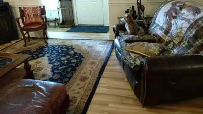 Dudley Moore Awnings & Floor Coverings, Inc. - Carpet Installation in Thomasville, GA