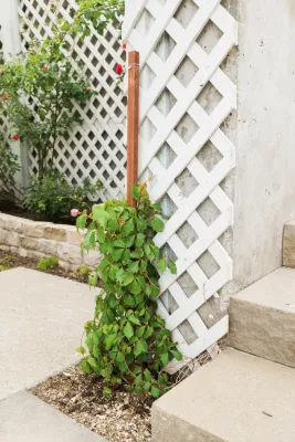 Big Rock Landscaping - Outdoor Lighting Installation in Provo, UT