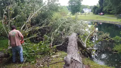 Overcoming Obstacles Landscaping - Tree & Shrub Care in Bealeton, VA
