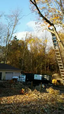 Overcoming Obstacles Landscaping - Tree & Shrub Care in Bealeton, VA