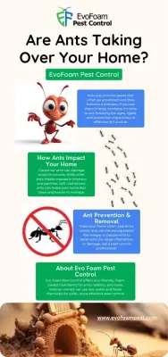 EvoFoam Pest Control - Pest Control Services in Georgetown, TX