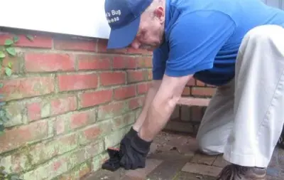 Baker's Bug Business - Pest Control Services in Raleigh, NC
