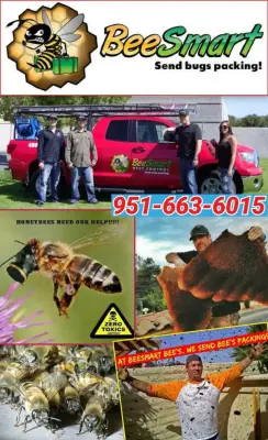 BeeSmart Bee Removal - Pest Control Services in Hemet, CA