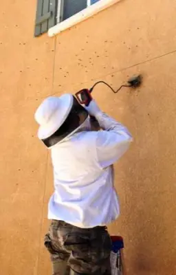 Bee Extraction Service — Pest Control Services project by BeeSmart Bee Removal