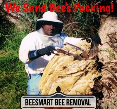 BeeSmart Bee Removal - Pest Control Services in Hemet, CA