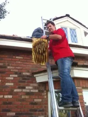 BeeSmart Bee Removal - Pest Control Services in Hemet, CA
