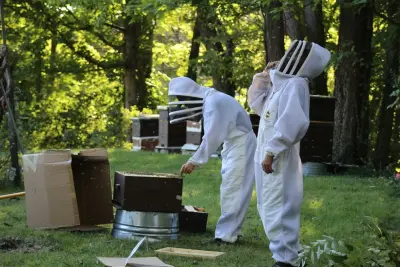 Re-Hive - Pest Control Services in Cincinnati, OH