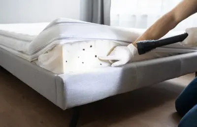 California Bed Bug Exterminators - Pest Control Services in Sacramento, CA
